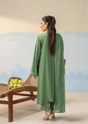 Green long tunic and pants suit with decorative back yoke and sheer dupatta