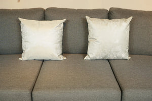 Jackson sofa cushions with two cream pillows on light gray upholstery.