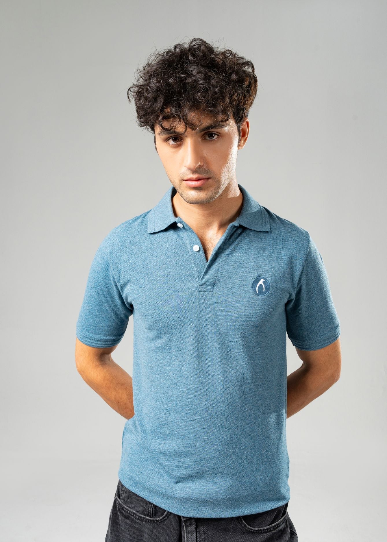 Picture of GTS-B4228 POLO SHIRT H/SLV BLUE - Chenone Official - Online Shopping