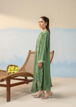 Green embroidered long tunic suit with cuff detailing and matching pants