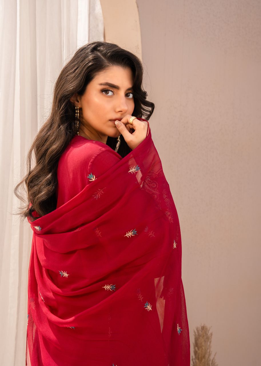 Maroon embroidered sheer dupatta with gold motifs and long kurta neckline, close-up