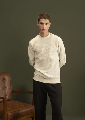 Men's stone textured jacquard sweatshirt, crewneck, long sleeves, ribbed hem