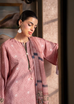 Women's 3-piece silk suit, rose kurta close-up with ornamented neckline and patterned panel