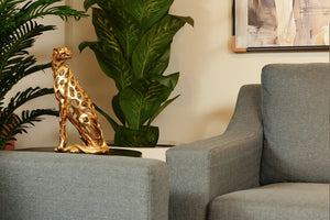 Picture of JACKSON SOFA 3+2+1 SVT-22 - Chenone Official - Online Shopping